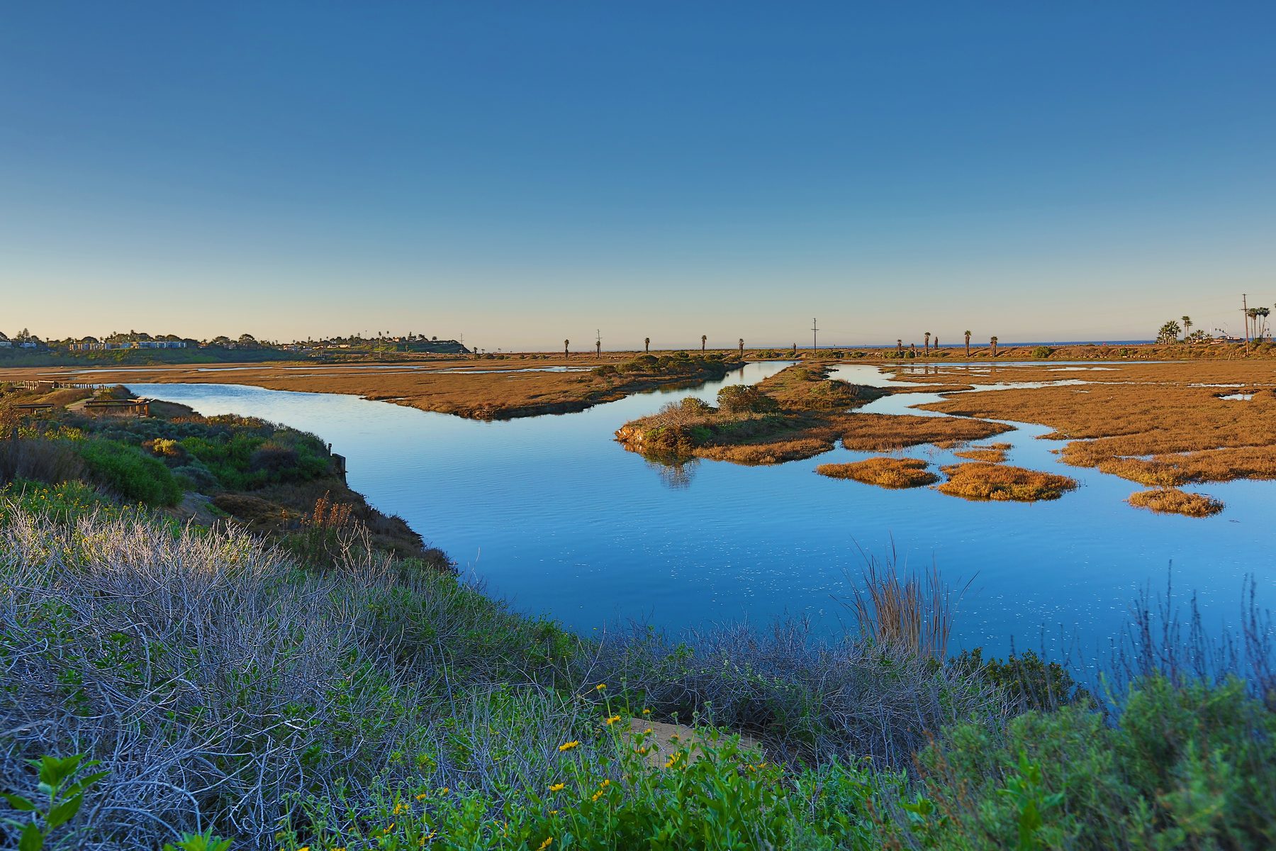 San Elijo Lagoon wetlands at golden hour, Encinitas